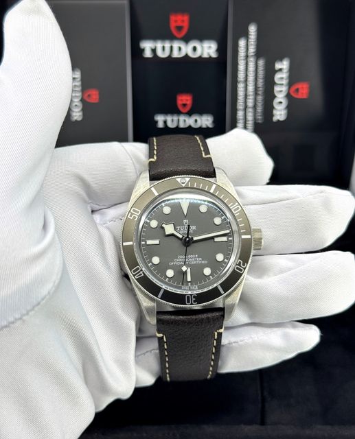 Tudor Black Bay 58 M79010SG-0001 Image 6